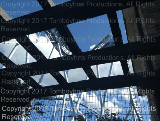 Busch Gardens France 6 Watermark.png