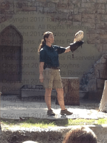 Busch Gardens Ireland 4 Watermark.png