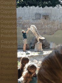 Busch Gardens Ireland 5 Watermark.png