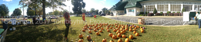 MOA Walk for Hunger 2017 Watermark 2.png