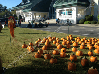 MOA Walk for Hunger 2017 Watermark 4.png