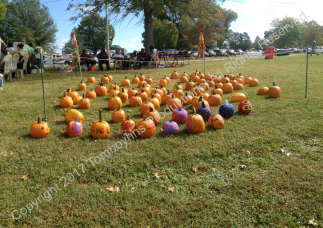 MOA Walk for Hunger 2017 Watermark 5