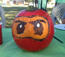 MOA Walk for Hunger 2017 Watermark 8.png