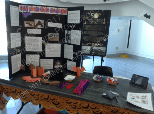 Bat presentation.png