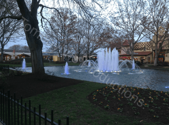 KD Blog 4 Watermarked