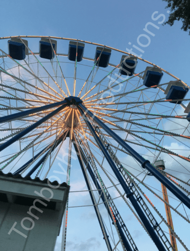 KD Blog Apple 3 Watermarked