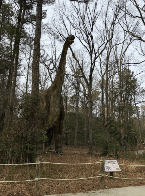 KD Blog Dino 3 Watermarked