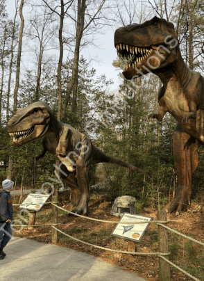 KD Blog Dino 4 Watermarked