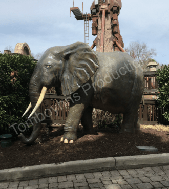 KD Blog Safari 3 Watermarked