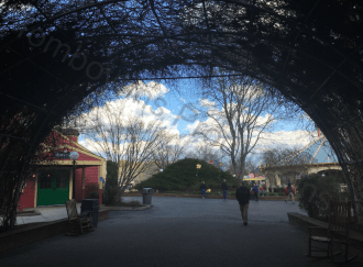 KD Blog VA 2 Watermarked